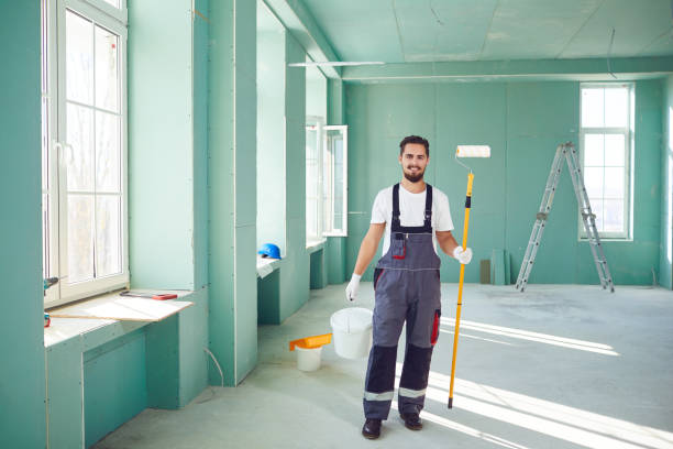 Best Attic Mold Removal  in Shepherdsville, KY