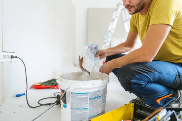 Best Mold Odor Removal Services  in Shepherdsville, KY