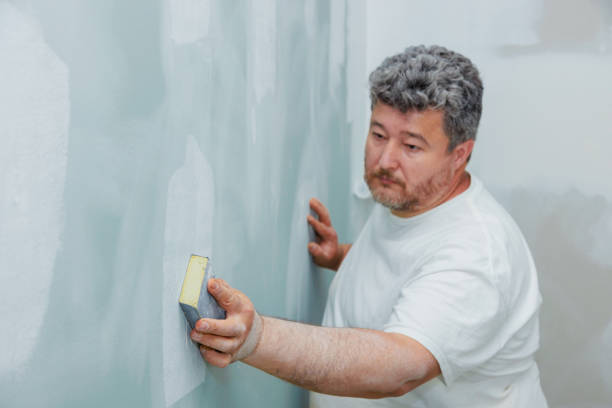 Best Residential Mold Inspection & Testing  in Shepherdsville, KY