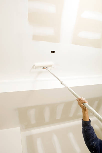 Mold Remediation for Vacation Homes in Shepherdsville, KY