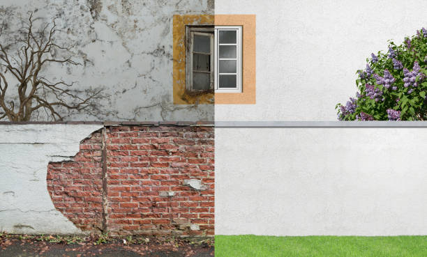 Best Environmental Consulting for Mold Prevention  in Shepherdsville, KY