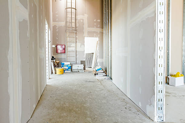 Best Forensic Mold Investigation  in Shepherdsville, KY