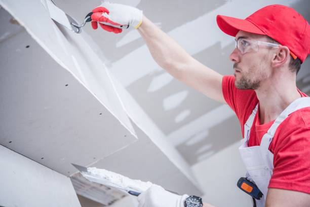  Shepherdsville, KY Mold Removal Pros