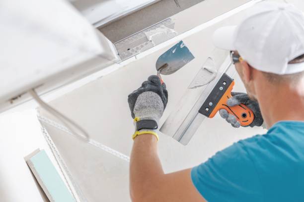 Environmental Consulting for Mold Prevention in Shepherdsville, KY